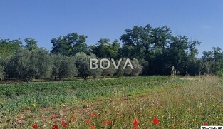 Građevinsko zemlji&scaron;te 420 m2 &ndash; Vrsi *Pravilan oblik* (ID-2512/A)